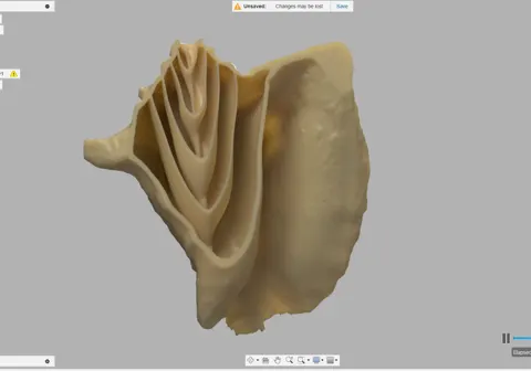 Conch Horn, photo 1 of 2