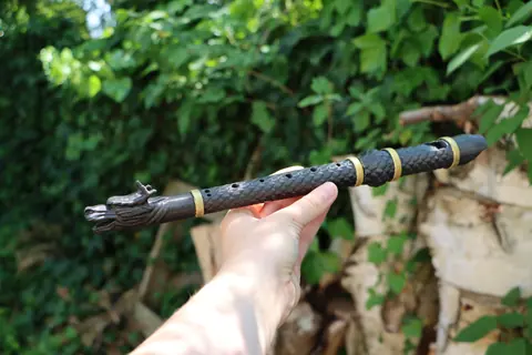 Dragon Recorder, photo 1 of 6