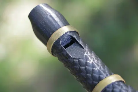 Dragon Recorder, photo 4 of 6