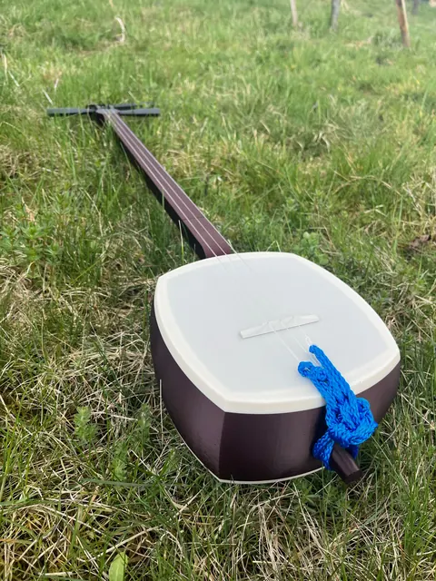 The shamisen lying on grass