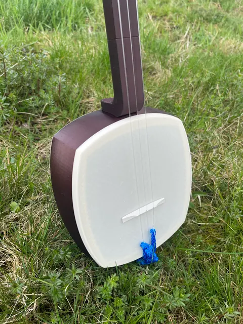 The printed body face and string holder